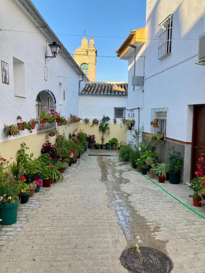 Apartamento Nuevo En Sierra Sur Sevilla Villanueva de San Juan Bagian luar foto